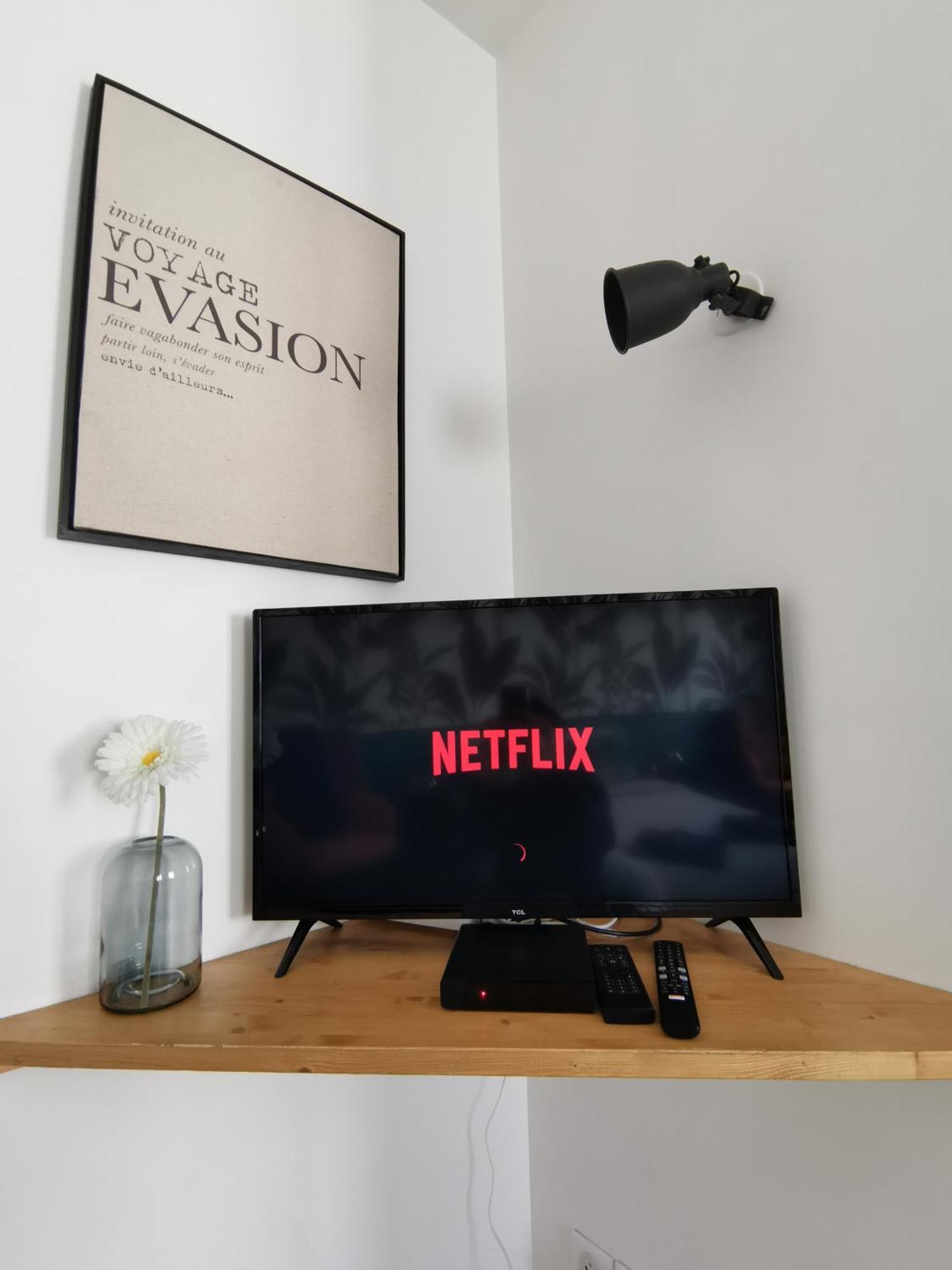 Jungle Studio Gex - Ski - Netflix Dış mekan fotoğraf